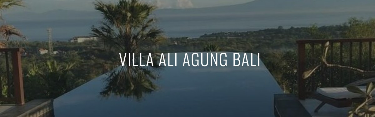 Tangkapan layar situs resmi Villa Alia Agung