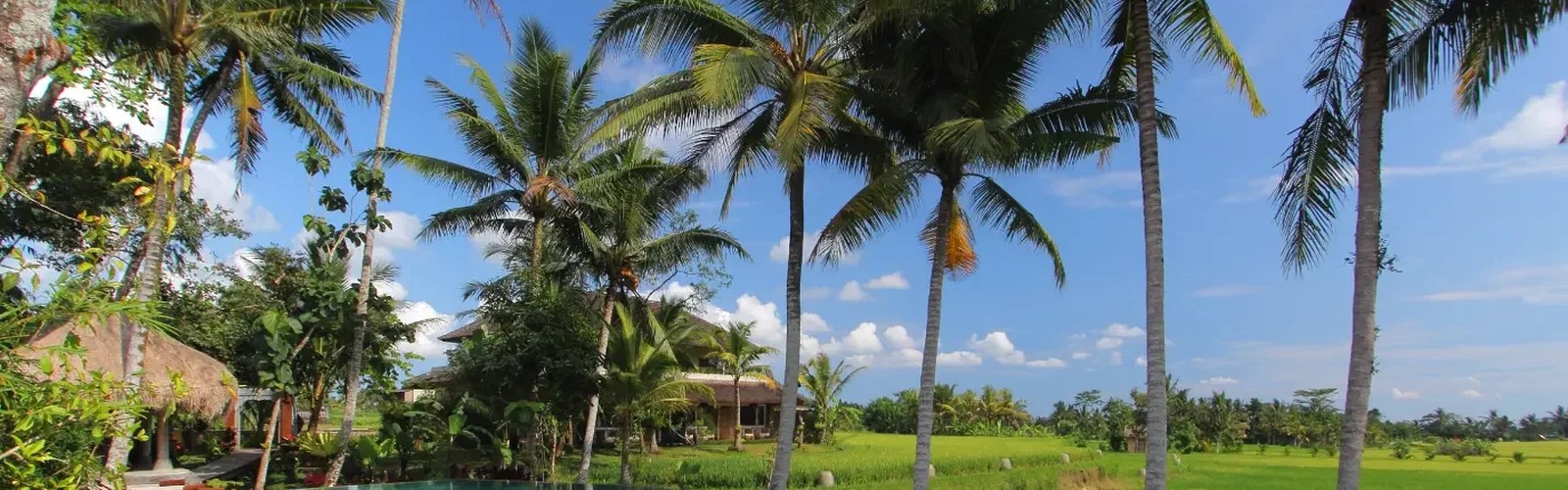 Tangkapan layar situs resmi Mathis Retreat Ubud